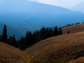 1409_olympicpeninsula_027.jpg