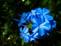 1410_disneyworldoctober2014_038.jpg